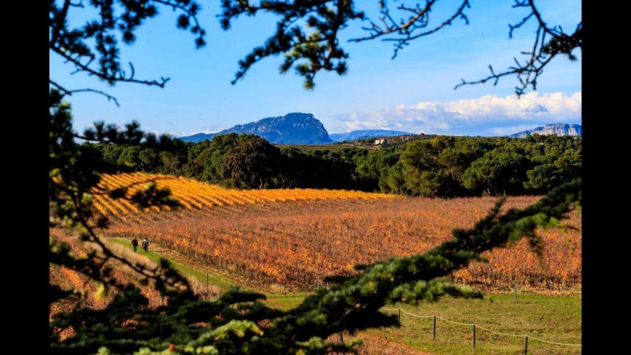 Gite Du Domaine Saint Jean De L'Arbousier Castries Luaran gambar